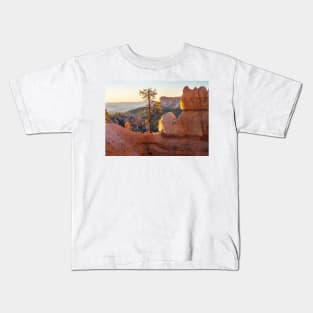 Lonely Pine Tree in the morning light Kids T-Shirt